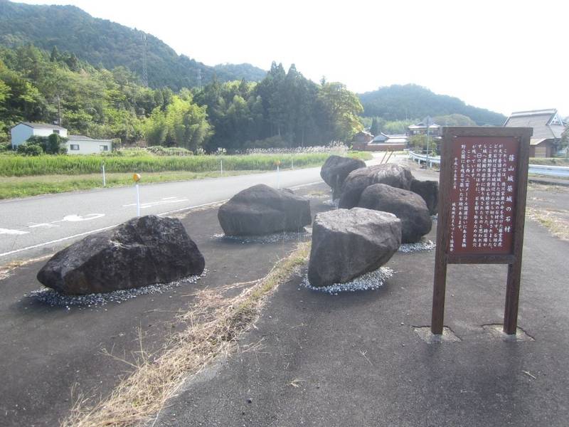 若林寺,兵庫県丹波篠山市栗栖野480
