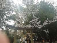 愛知県の御朱印・神社・お寺 人気ランキング2025 (776位～800位)