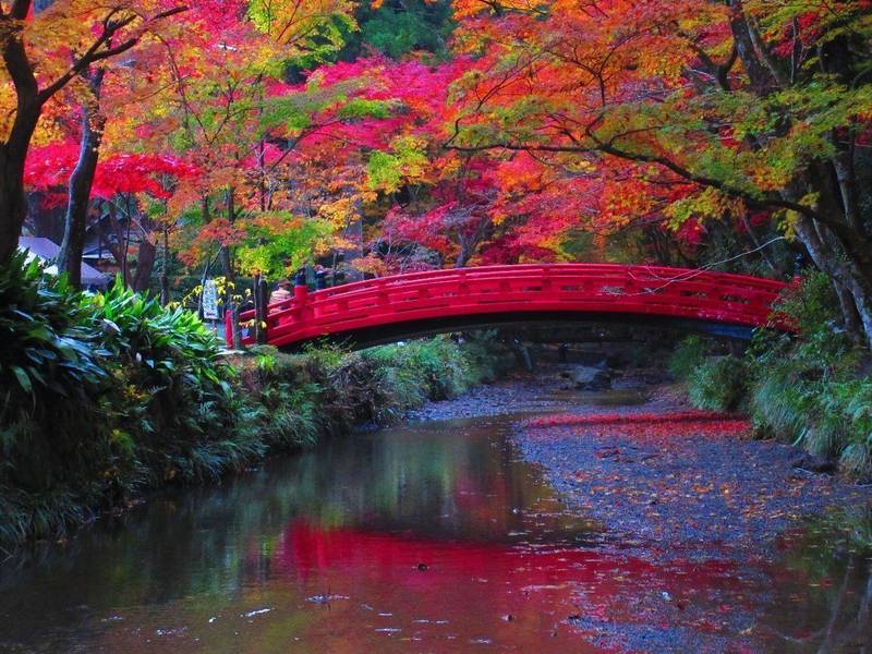 小國神社 周智郡森町 静岡県 Omairi おまいり