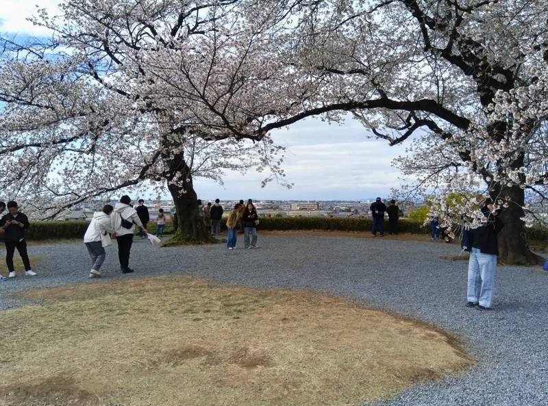 丸墓山古墳,埼玉県行田市埼玉