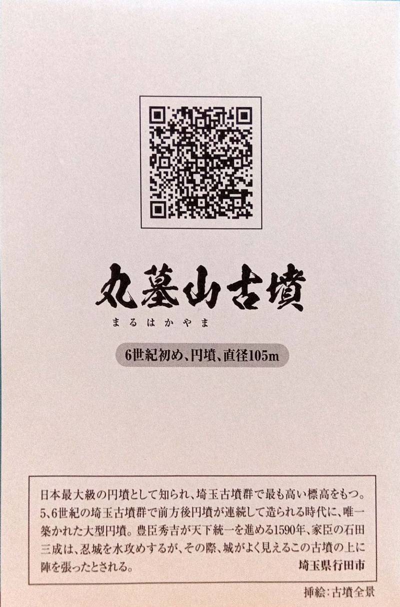 丸墓山古墳,埼玉県行田市埼玉