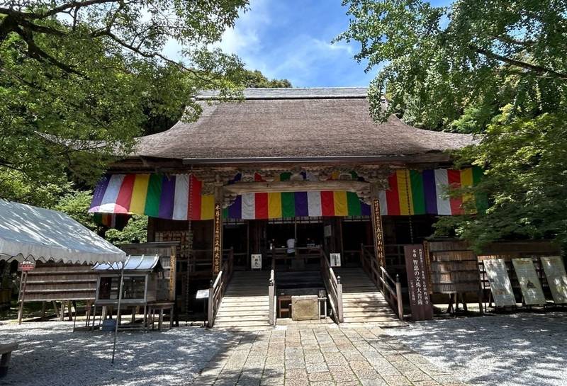 竹林寺,高知県高知市五台山3577
