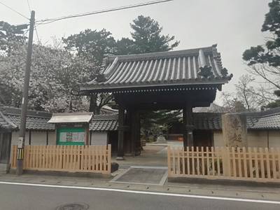 専超寺,見どころ,ま