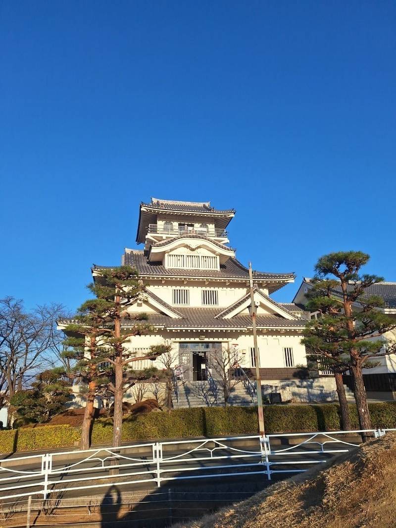 上野城趾,山梨県西八代郡市川三郷町上野3158