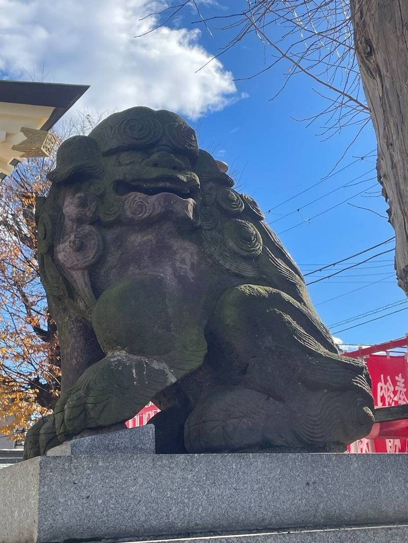 新井熊野神社,千葉県市川市新井1丁目9-3