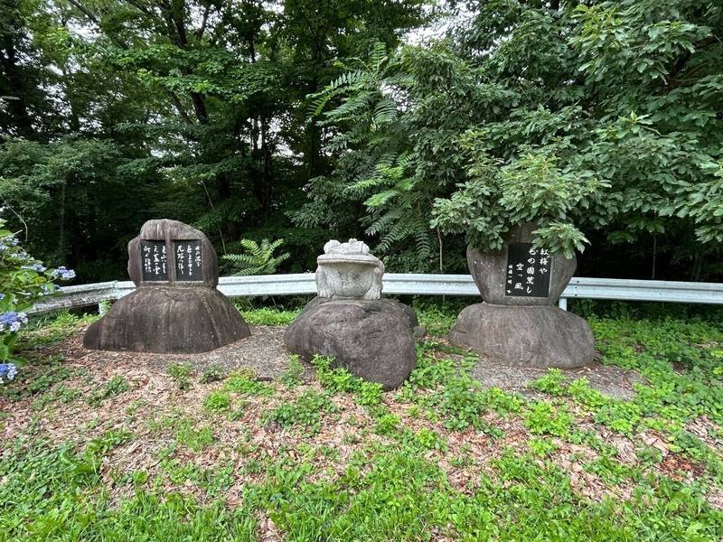 大宮神社  (人見),群馬県安中市松井田町人見字大宮1
