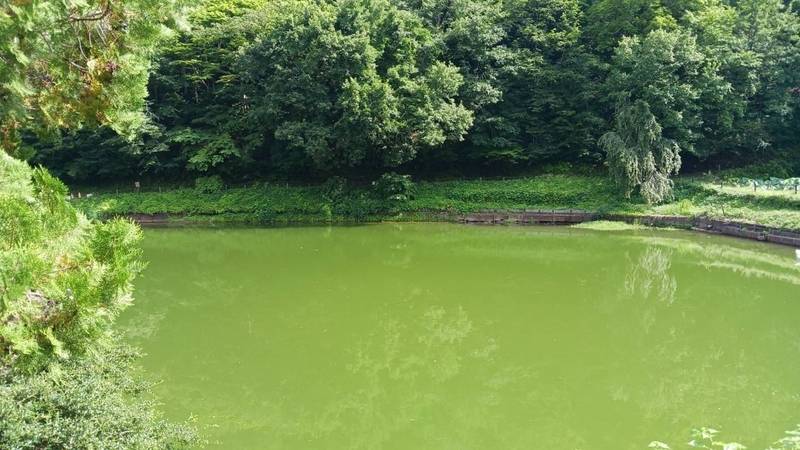 久昌寺,埼玉県秩父市久那2215