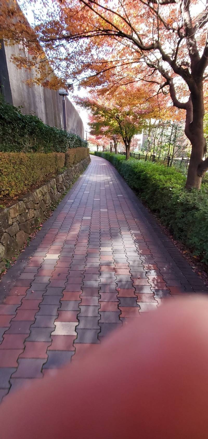 阿弥陀堂  (金輪寺 境外仏堂),東京都北区王子本町1-5-17
