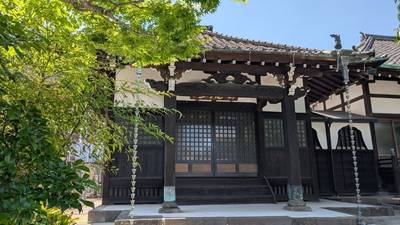 長徳寺,見どころ,コヨーテ