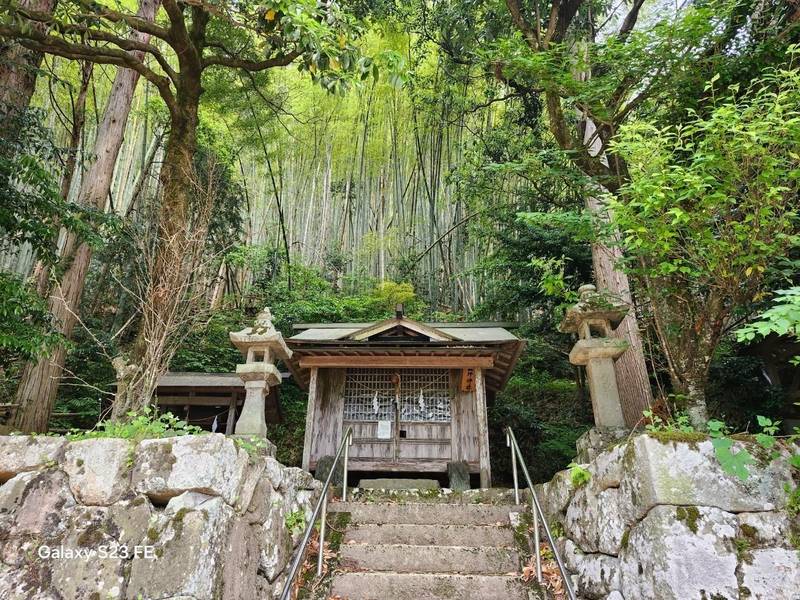 森坪神社,鳥取県鳥取市佐治町森坪211