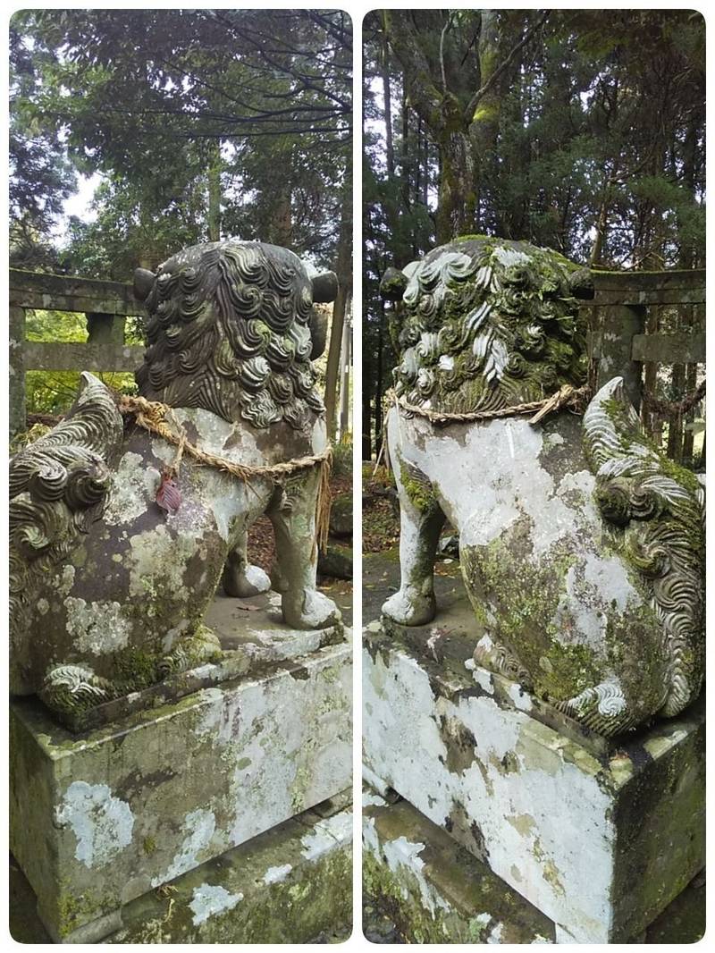 潜木神社 (八天宮),長崎県佐世保市潜木町606