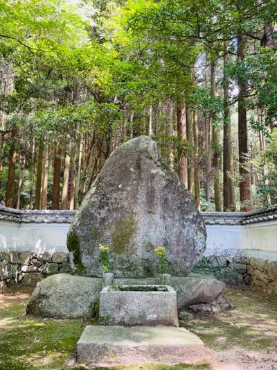 大凉寺,見どころ,たかひろ