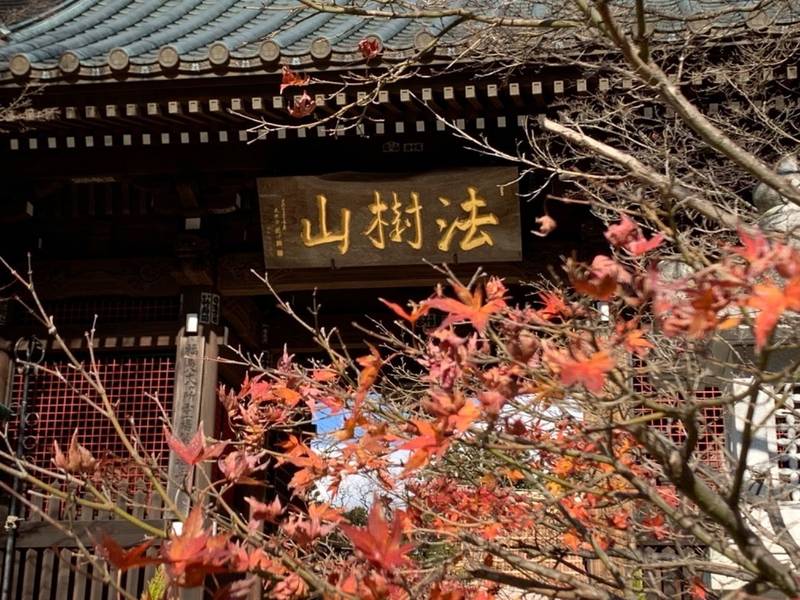 廣徳院,福島県双葉郡楢葉町大字下小塙字風呂内18