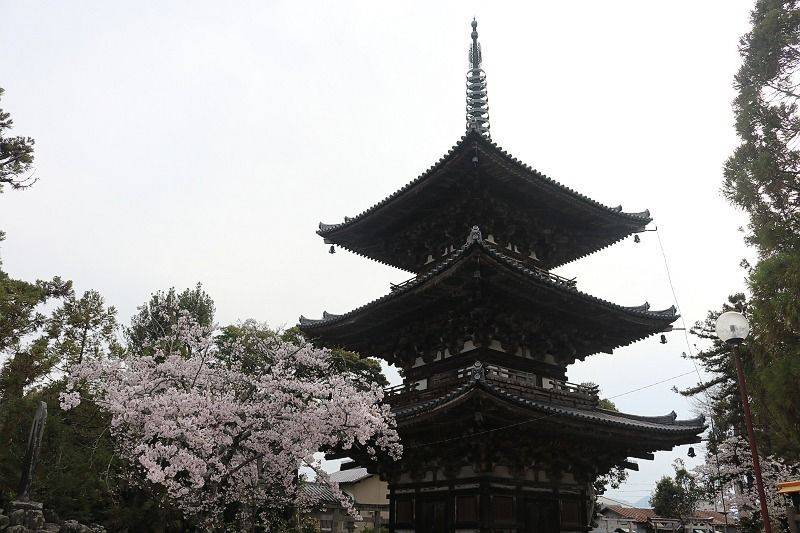 百済寺,奈良県北葛城郡広陵町百済1168