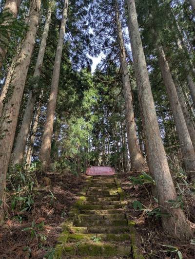 天照皇大神宮,見どころ,つち