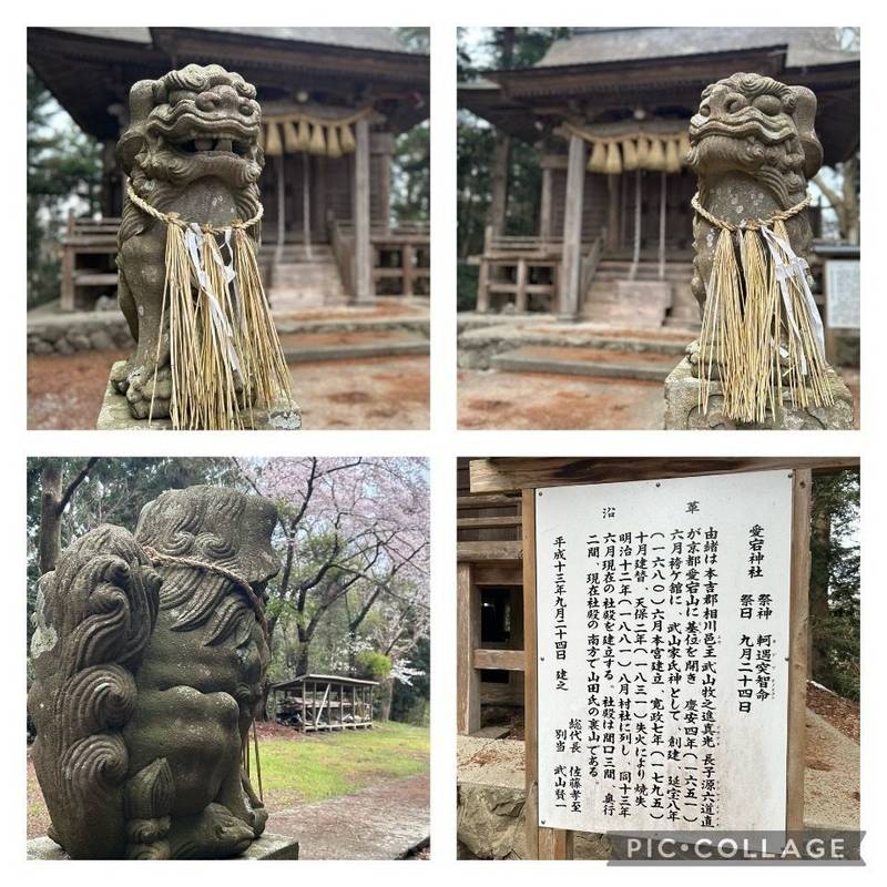 愛宕神社,宮城県登米市豊里町寿崎26番地