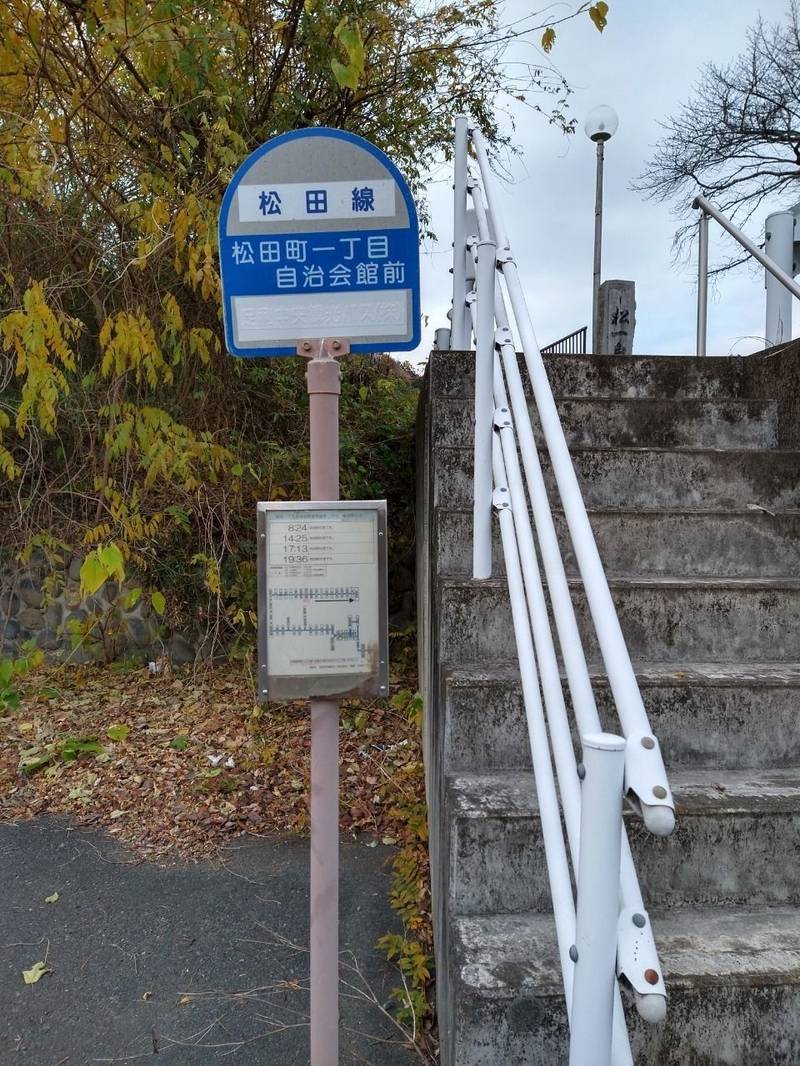 八坂神社  (松田町420-1),栃木県足利市大字松田町420-1