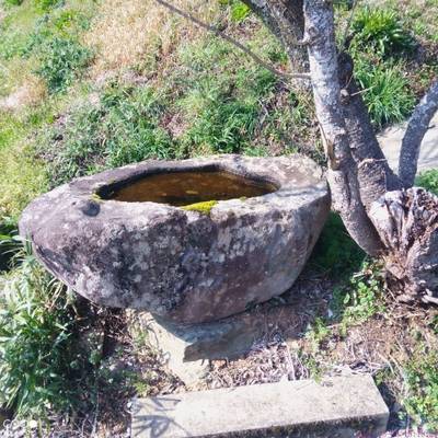月読神社,見どころ,あまてらす王海守
