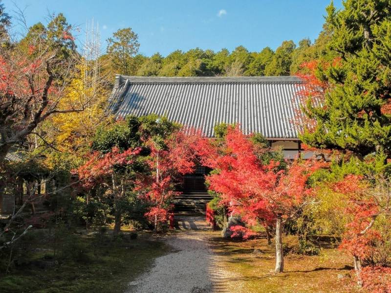 廣泰寺,三重県度会郡玉城町宮古1277