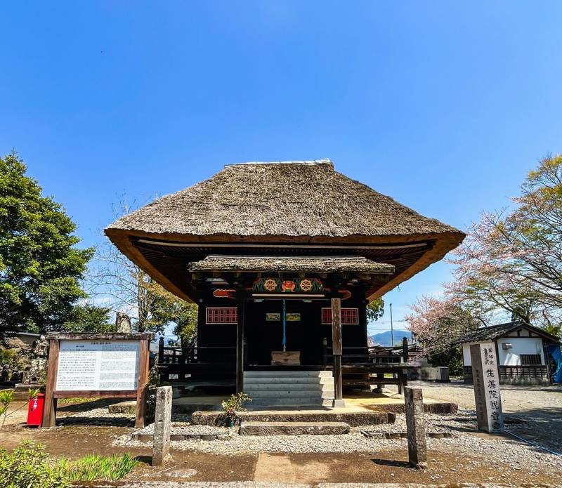 生善院 (猫寺),熊本県球磨郡水上村岩野3542