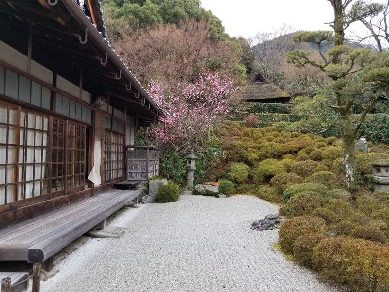 金福寺 京都市/京都府 Omairi(おまいり)