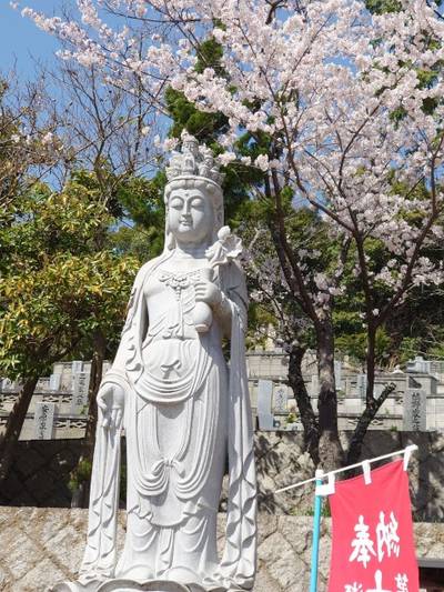 宝嶋寺 倉敷市/岡山県 Omairi(おまいり)