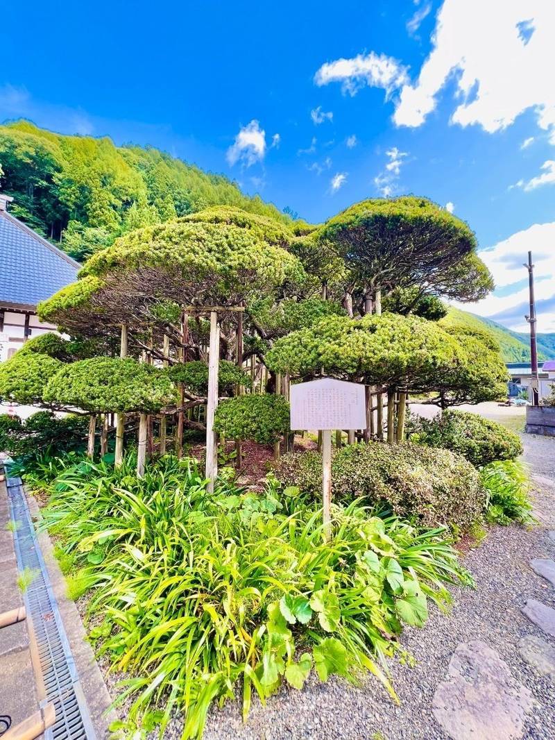 毘慮山 天徳寺,福島県耶麻郡猪苗代町大字 蚕養字山根て573