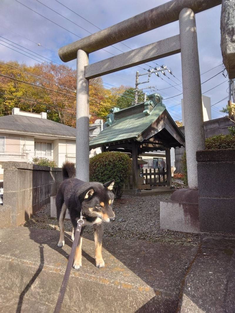 稲荷社    (上溝四丁目),神奈川県相模原市中央区上溝4丁目18