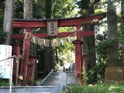 諏訪神社   (大久保),見どころ,なかじぃ
