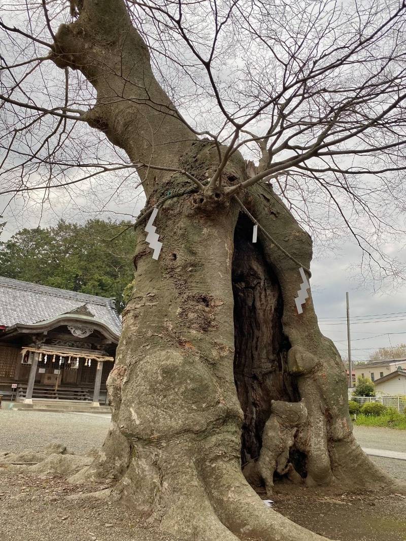 上粕屋神社,神奈川県伊勢原市上粕屋1334