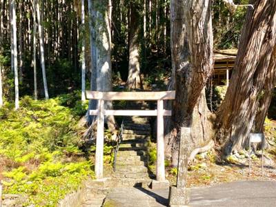 甲明神社,見どころ,を神