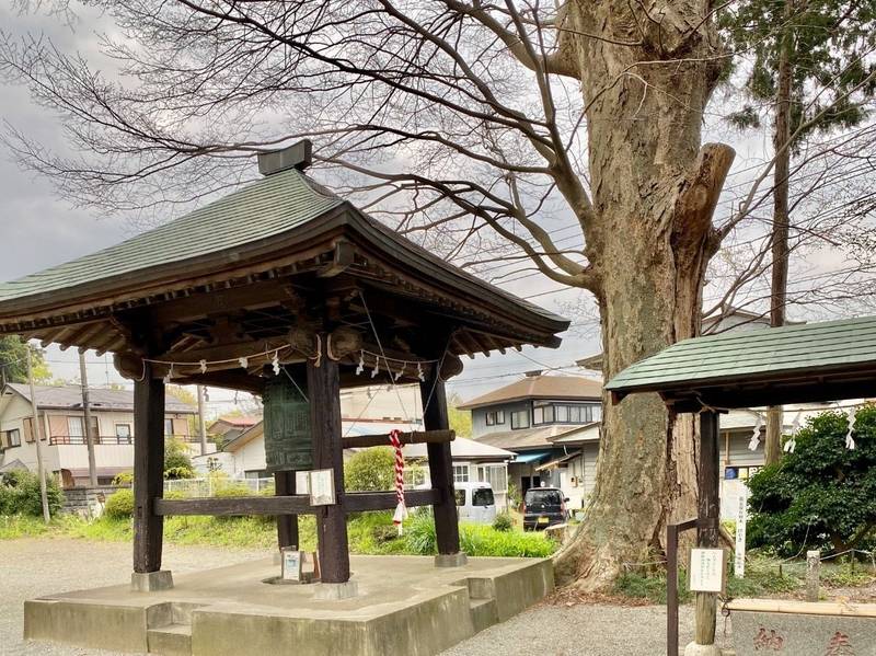 上粕屋神社,神奈川県伊勢原市上粕屋1334