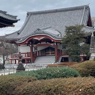 宏善寺,見どころ,花散日菜