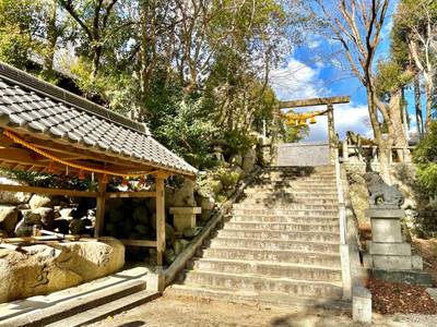 長倉神社,見どころ,を神
