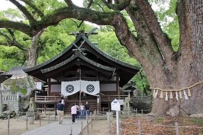 尾道市の御朱印・神社・お寺 人気ランキング2023