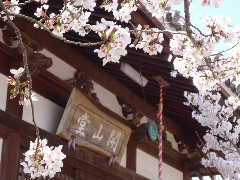 教信寺 加古川市/兵庫県 Omairi(おまいり)