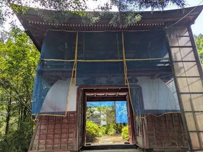 正法寺,見どころ,中央区のシティーボーイ
