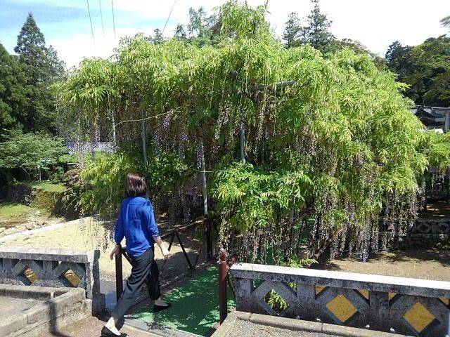 西寒多神社,大分県大分市寒田1644