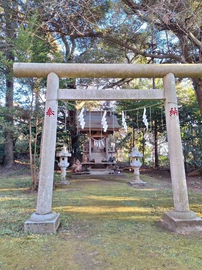 月見天満宮   (成田豊住熊野神社境内社),見どころ,とるど