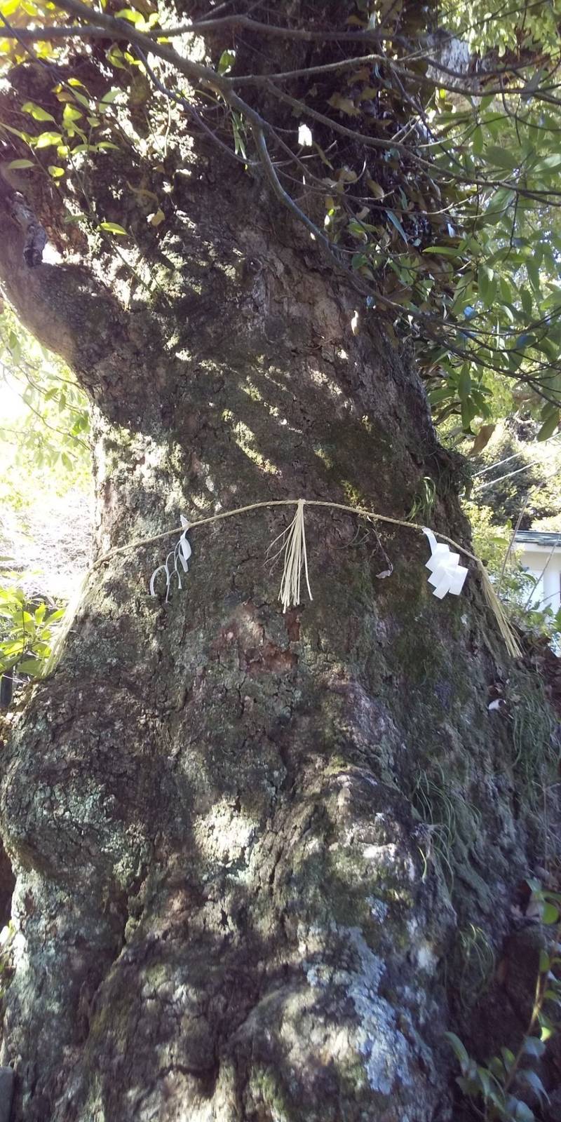 土宮神社,三重県鳥羽市小浜町33