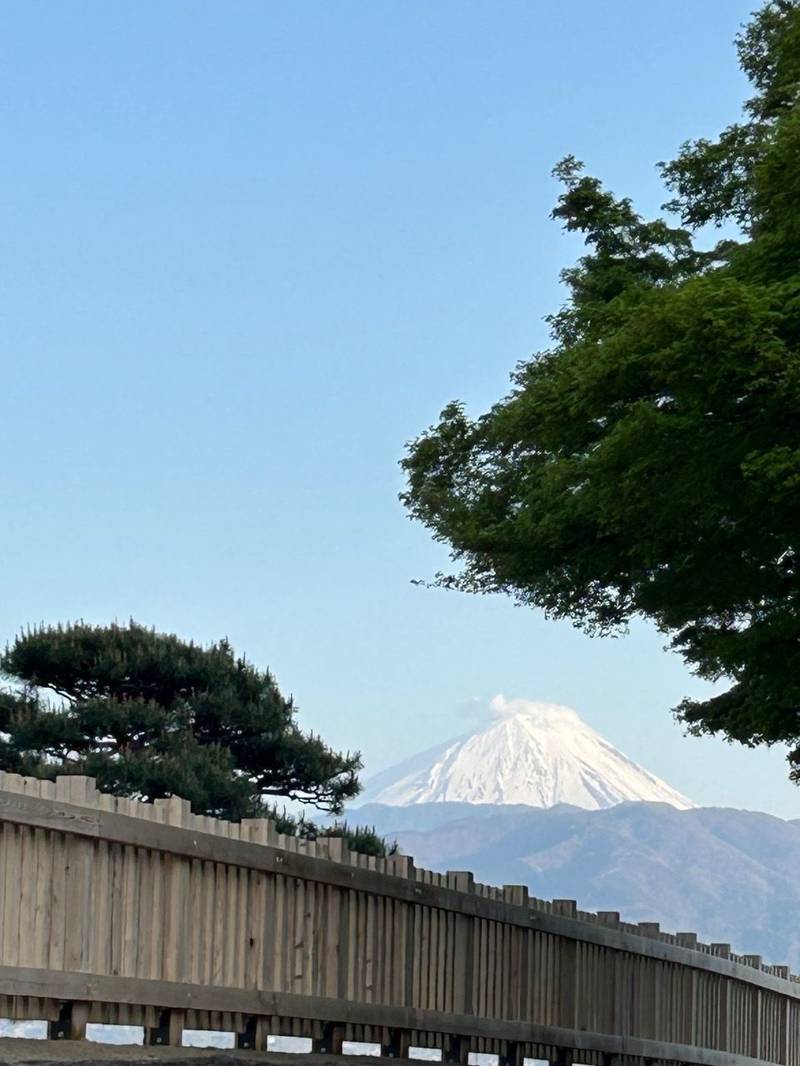 甲府城    (舞鶴城)日本100名城23番,山梨県甲府市丸の内1-5-4