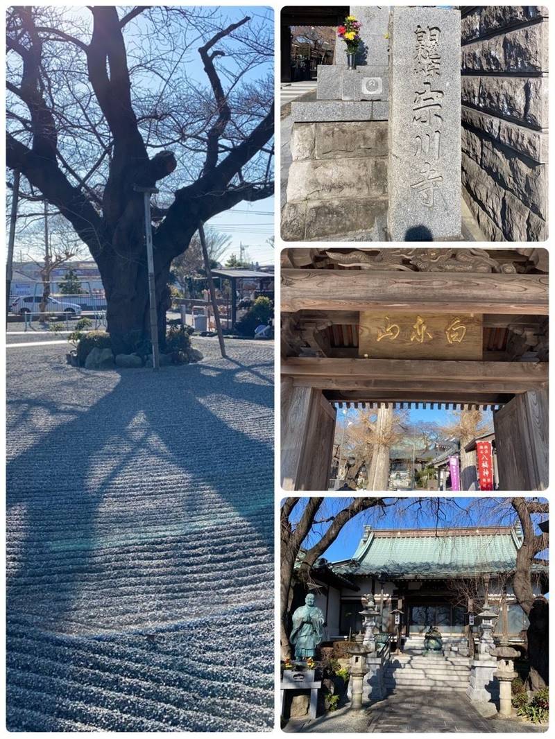 宗川寺,神奈川県横浜市瀬谷区北新26-13