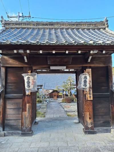 専養寺,見どころ,とるど