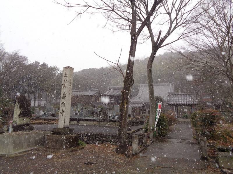 寿福寺,岐阜県関市肥田瀬1290