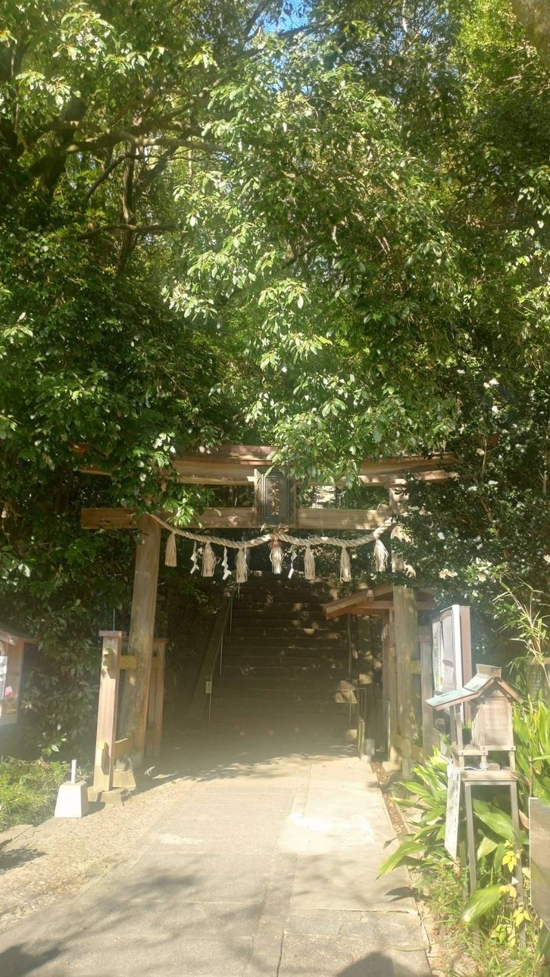 木本八幡宮,和歌山県和歌山市西庄字宮山1
