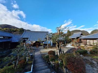 専養寺,見どころ,とるど