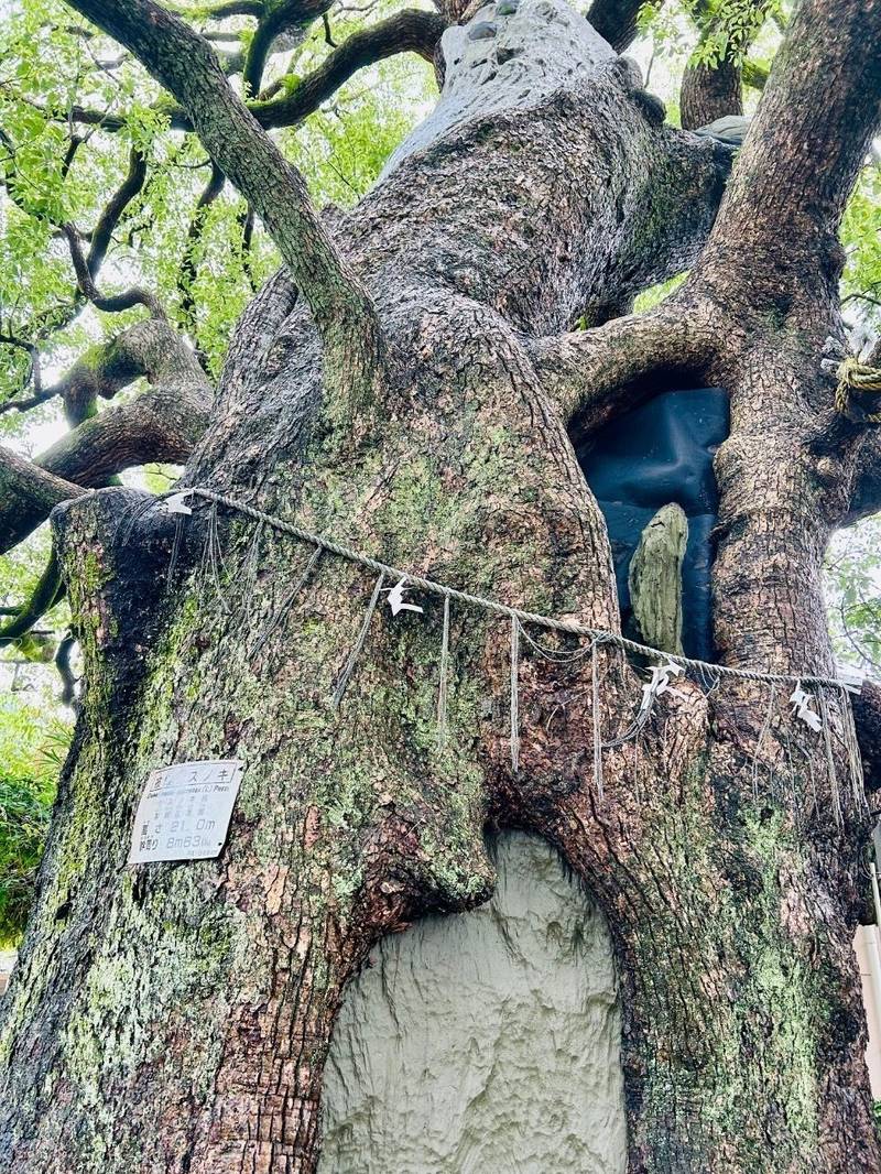 山王神社    (山王日吉神社, 浦上皇大神宮),長崎県長崎市坂本２丁目６−５６