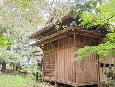 三王宮 (日吉神社),見どころ,あまてらす王海守
