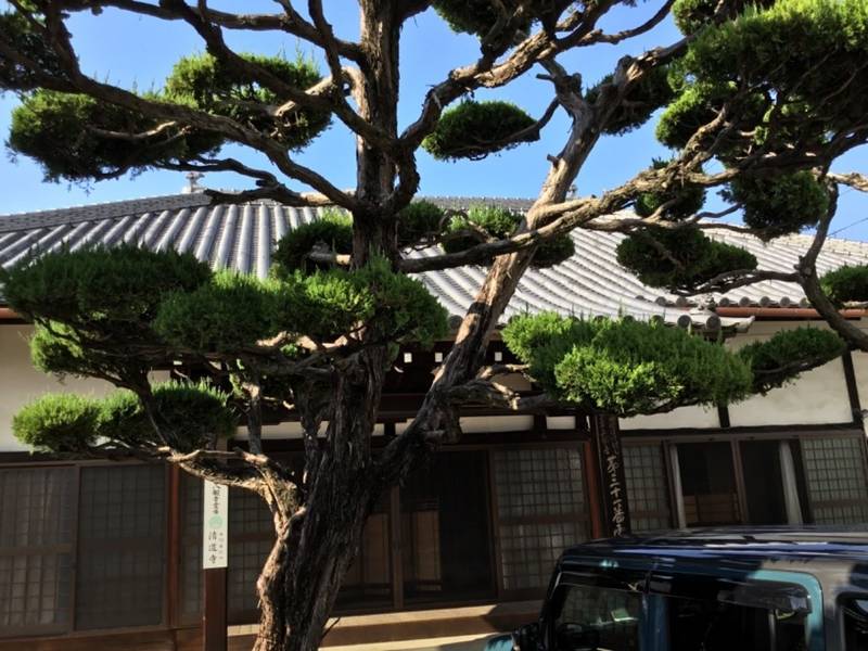 清道寺,香川県坂出市本町3-2-1