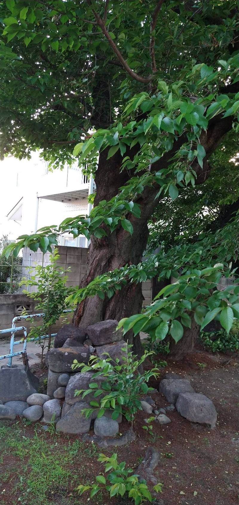 藜稲荷神社,群馬県前橋市文京町１丁目３９−５